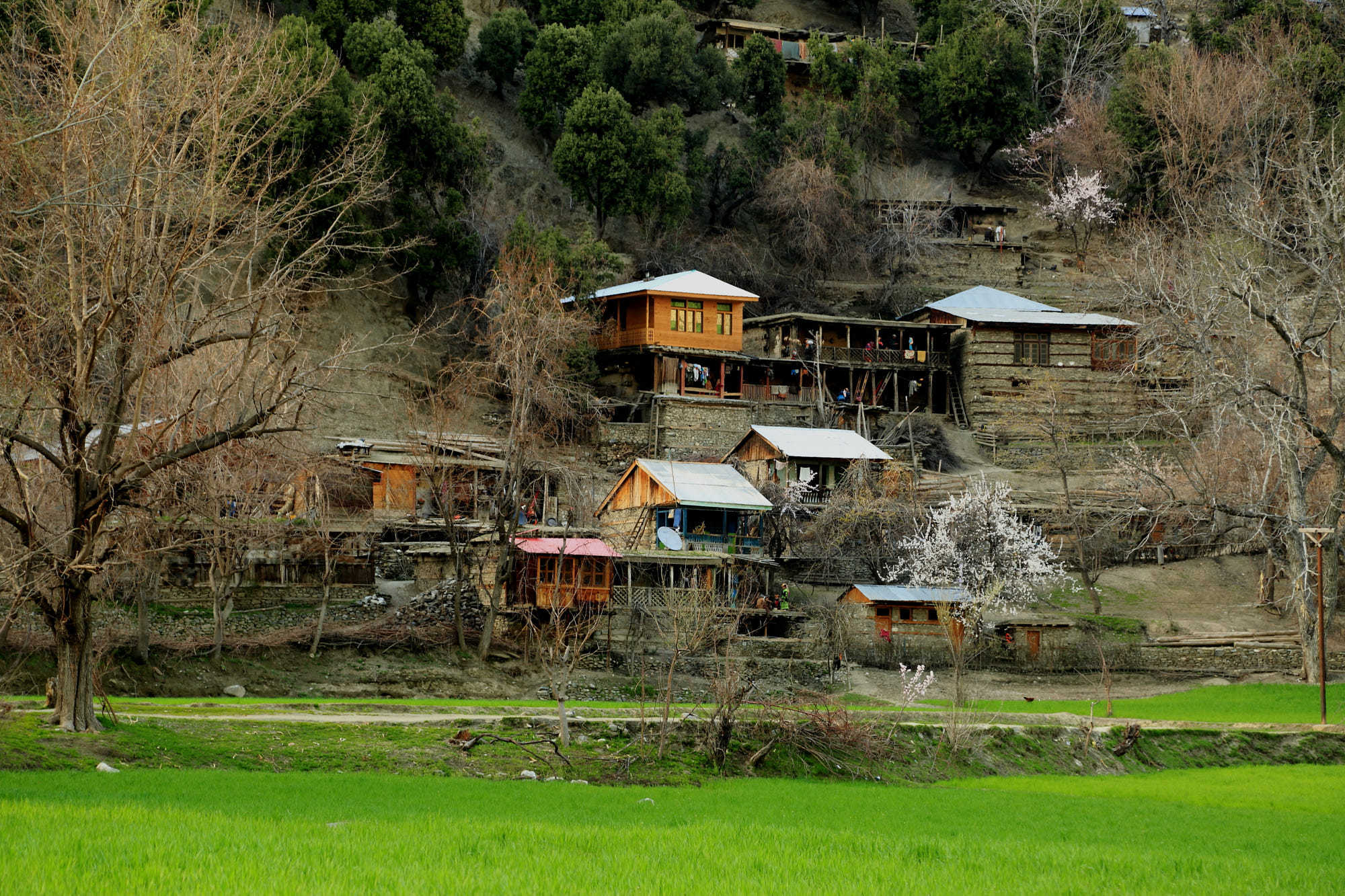 Kalash Valley Travel Guide | Things to Do - PakTrips